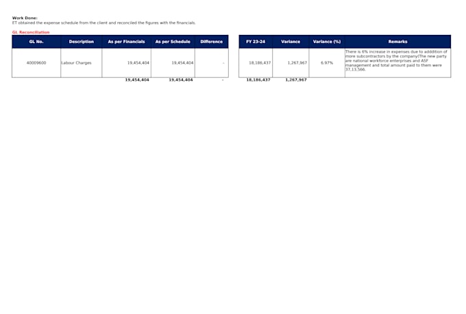 do the data analysis, audit support, ledger analysis, data entry, excel work